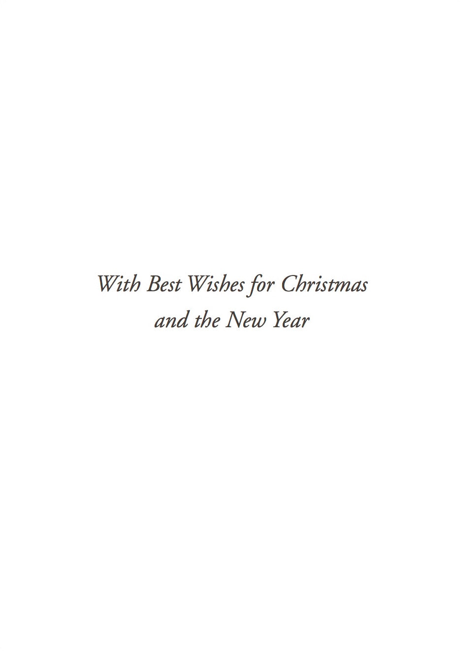 'The Virgin Hodegetria Dexiokratousa' greeting card